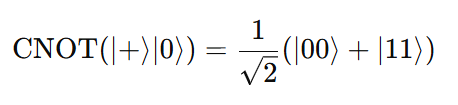 The Controlled-NOT (CNOT) Gate
